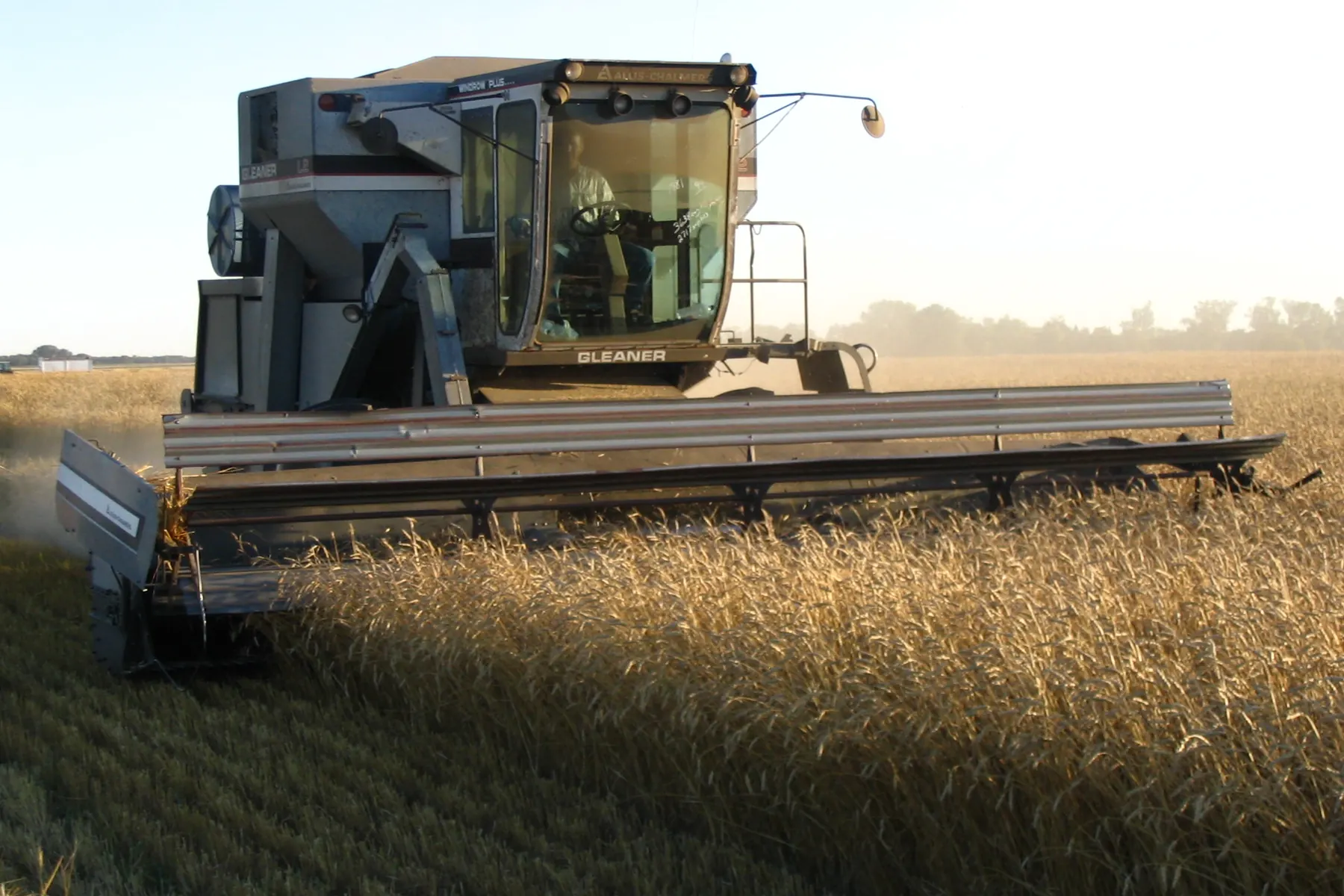 A combine harvester cutting a field of ripe grain on the Manitoba prairie