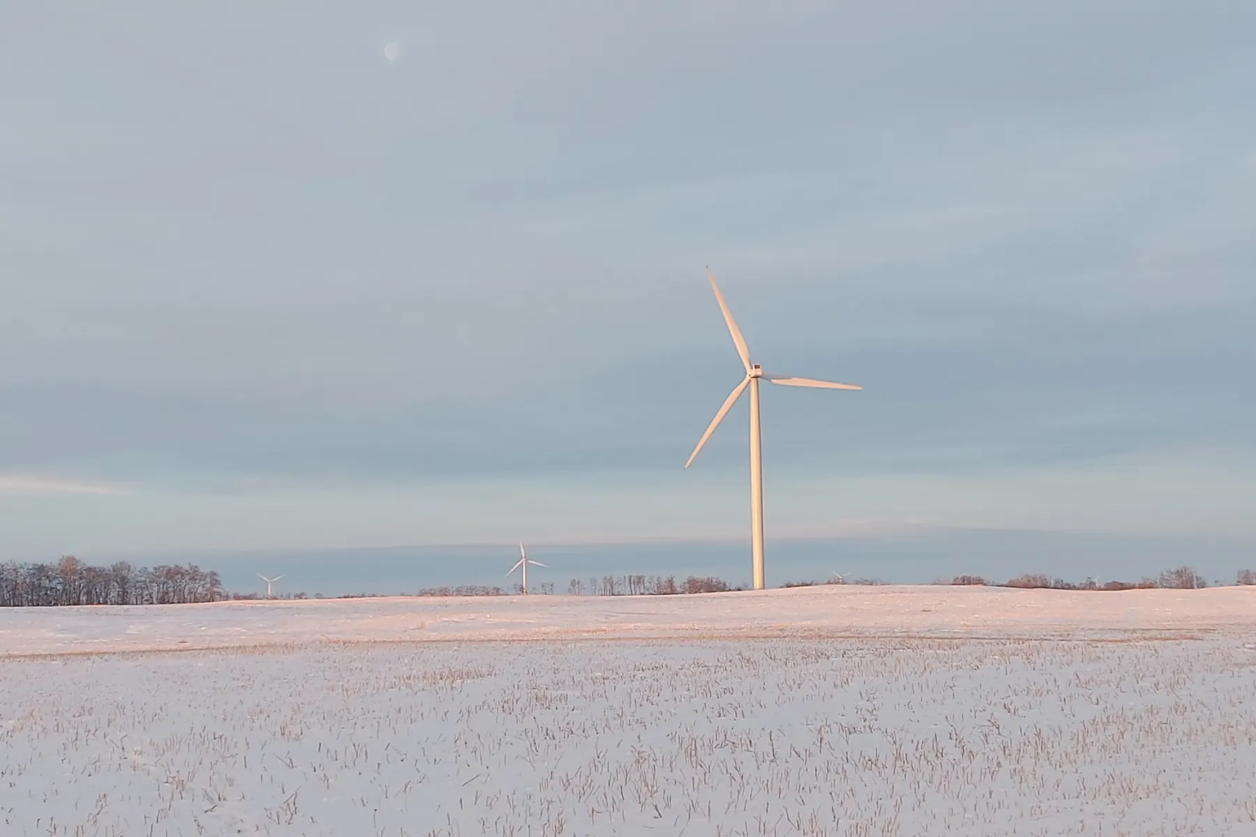 A wind turbine lit by low winter sun above a snow-covered prairie field at the Red Lily Wind Farm in Saskatchewan, with more turbines on the horizon